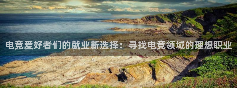 k1电竞在哪下单：电竞爱好者们的就业新选择：寻找电竞领域的理想职业