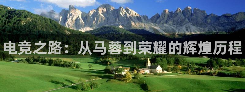 k1电竞：电竞之路：从马蓉到荣耀的辉煌历程