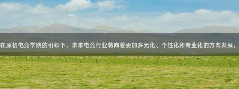 k1电竞酒店：在原初电竞学院的引领下，未来电竞行业将向着更加多元化、个性化和专业化的方向发展。