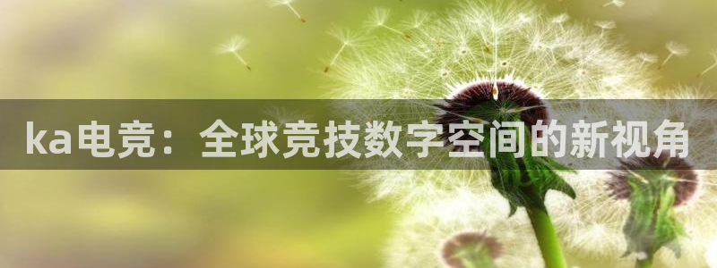 k1电竞：ka电竞：全球竞技数字空间的新视角
