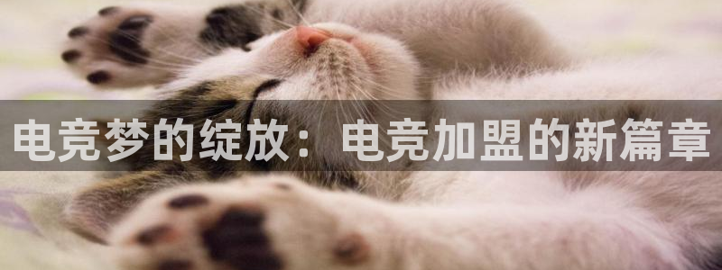 k1电竞馆：电竞梦的绽放：电竞加盟的新篇章