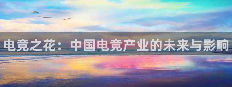 k1电竞：电竞之花：中国电竞产业的未来与影响