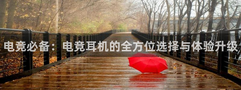 k1电竞比赛：电竞必备：电竞耳机的全方位选择与体验升级